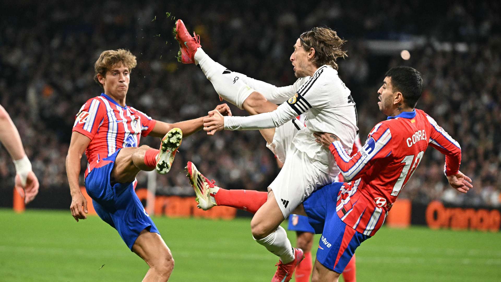 择谁作为新 择谁作为新