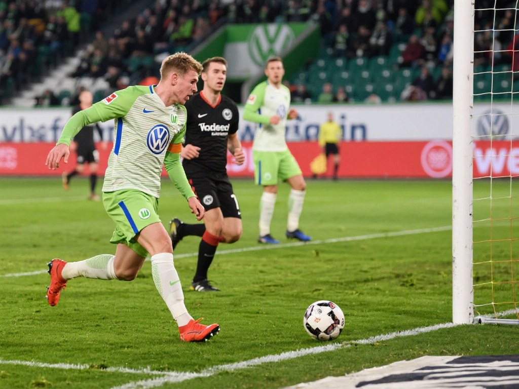 一个重要组 一个重要组