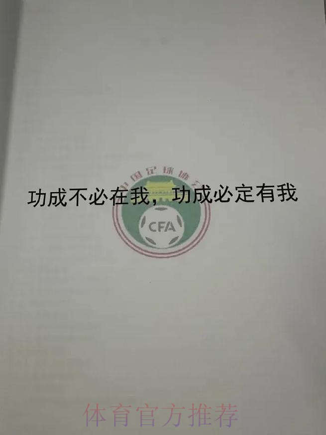 四大模式,深度融合:中国足球青训进入“政府+市场”协同新阶段 四大模式,深度融合:中国足球青训进入“政府+市场”协同新阶段